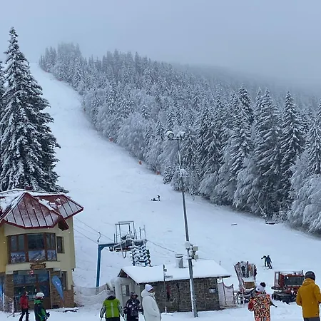 Antonovi Deluxe In Laplandia Daire Pamporovo