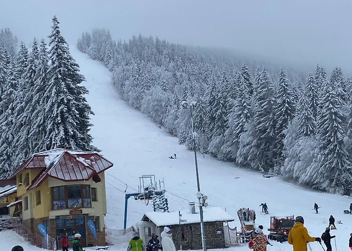 Antonovi Deluxe In Laplandia Daire Pamporovo